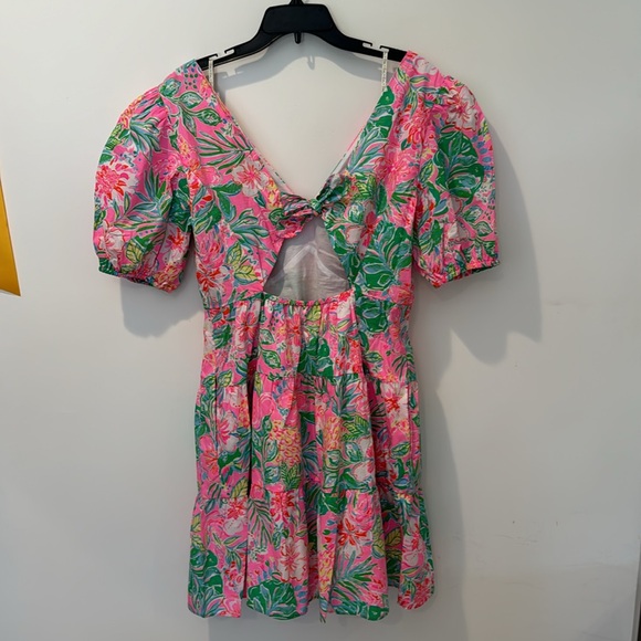 Lilly Pulitzer Nalani Short Sleeve Cotton Dress. - Picture 6 of 15